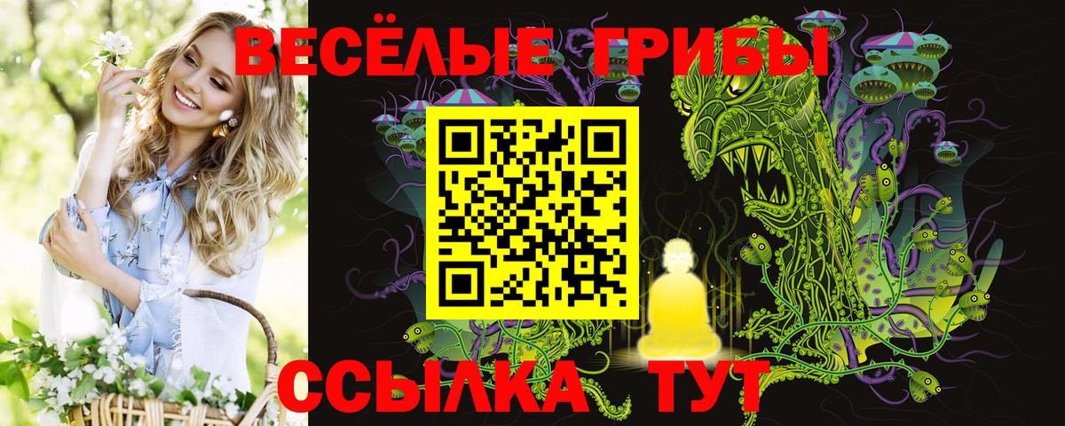 Галлюциногенные грибы мухоморы  Галлюциногенные грибы ЛСД  Кимры  Вход с VPN 