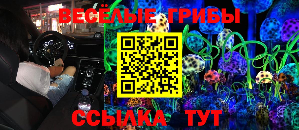 Галлюциногенные грибы Magic Shrooms Кимры